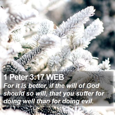 1 Peter 3:17 WEB Bible Verse Image