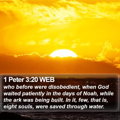 1 Peter 3:20 WEB Bible Verse Image