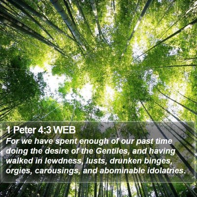 1 Peter 4:3 WEB Bible Verse Image