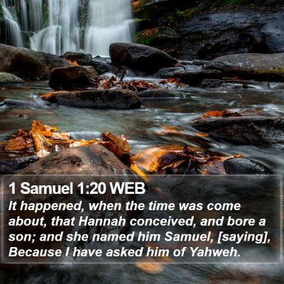 1 Samuel 1:20 WEB Bible Verse Image
