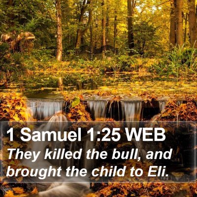 1 Samuel 1:25 WEB Bible Verse Image
