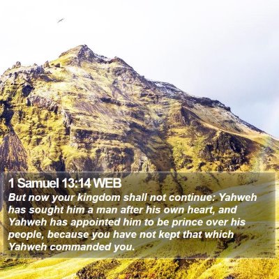 1 Samuel 13:14 WEB Bible Verse Image