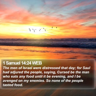 1 Samuel 14:24 WEB Bible Verse Image
