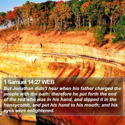 1 Samuel 14:27 WEB Bible Verse Image