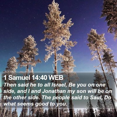 1 Samuel 14:40 WEB Bible Verse Image