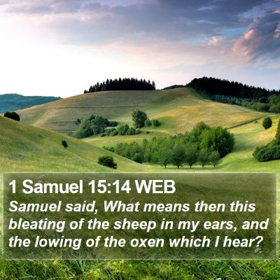 1 Samuel 15:14 WEB Bible Verse Image