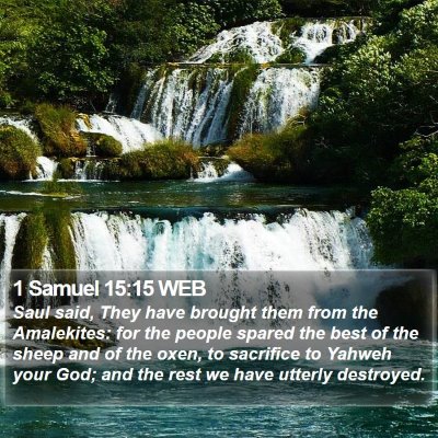 1 Samuel 15:15 WEB Bible Verse Image