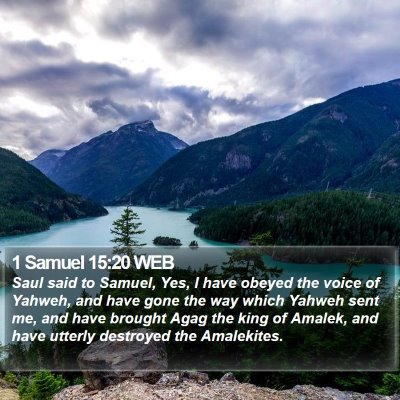 1 Samuel 15:20 WEB Bible Verse Image