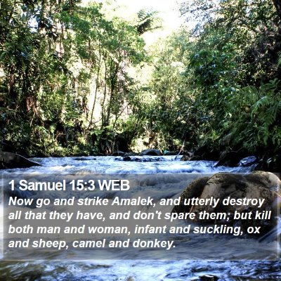 1 Samuel 15:3 WEB Bible Verse Image
