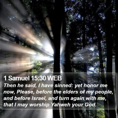 1 Samuel 15:30 WEB Bible Verse Image
