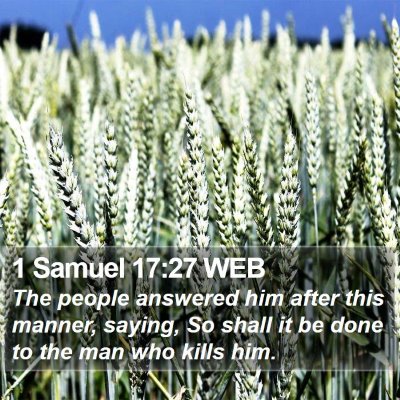 1 Samuel 17:27 WEB Bible Verse Image
