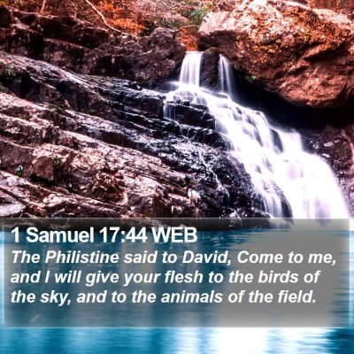 1 Samuel 17:44 WEB Bible Verse Image