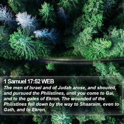 1 Samuel 17:52 WEB Bible Verse Image