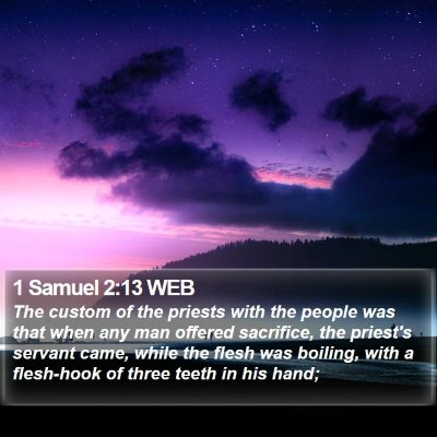 1 Samuel 2:13 WEB Bible Verse Image