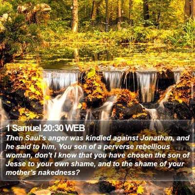 1 Samuel 20:30 WEB Bible Verse Image