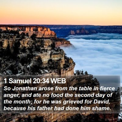 1 Samuel 20:34 WEB Bible Verse Image