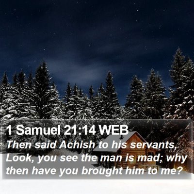 1 Samuel 21:14 WEB Bible Verse Image