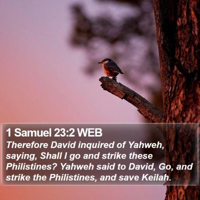 1 Samuel 23:2 WEB Bible Verse Image