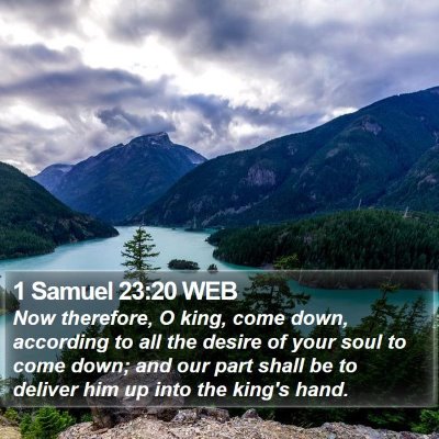 1 Samuel 23:20 WEB Bible Verse Image