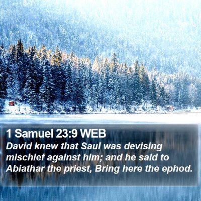 1 Samuel 23:9 WEB Bible Verse Image