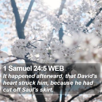 1 Samuel 24:5 WEB Bible Verse Image