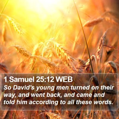 1 Samuel 25:12 WEB Bible Verse Image