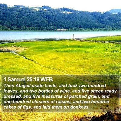 1 Samuel 25:18 WEB Bible Verse Image