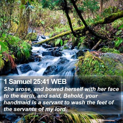 1 Samuel 25:41 WEB Bible Verse Image