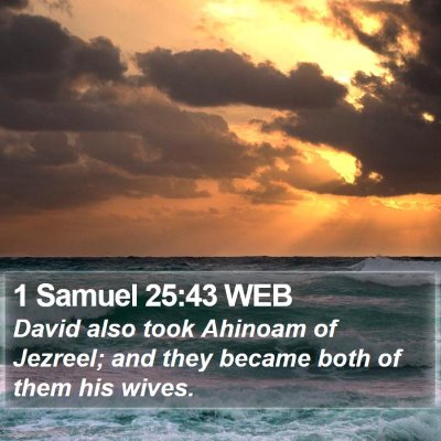 1 Samuel 25:43 WEB Bible Verse Image