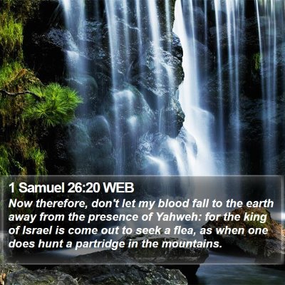 1 Samuel 26:20 WEB Bible Verse Image