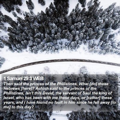 1 Samuel 29:3 WEB Bible Verse Image