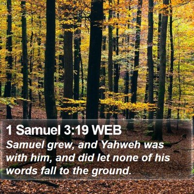 1 Samuel 3:19 WEB Bible Verse Image