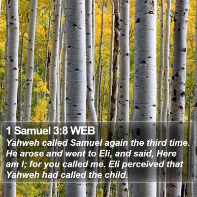 1 Samuel 3:8 WEB Bible Verse Image