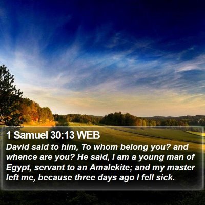 1 Samuel 30:13 WEB Bible Verse Image