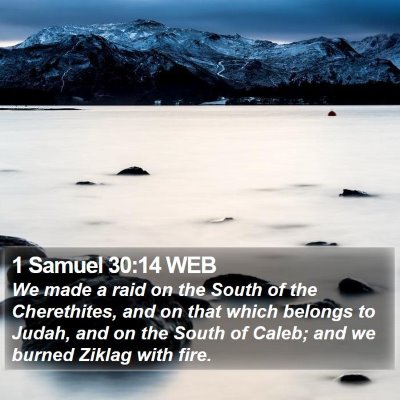 1 Samuel 30:14 WEB Bible Verse Image