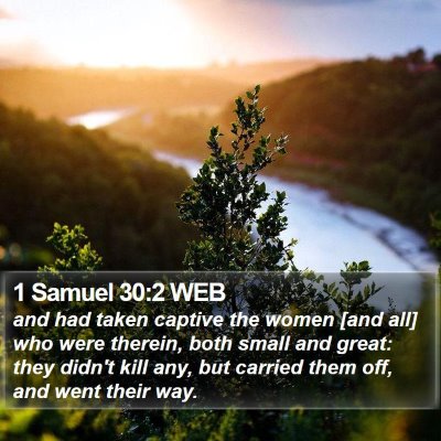1 Samuel 30:2 WEB Bible Verse Image