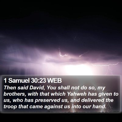 1 Samuel 30:23 WEB Bible Verse Image