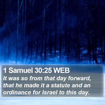 1 Samuel 30:25 WEB Bible Verse Image