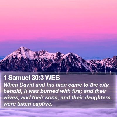 1 Samuel 30:3 WEB Bible Verse Image