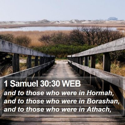 1 Samuel 30:30 WEB Bible Verse Image
