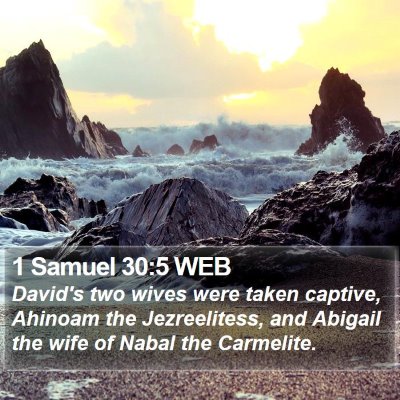 1 Samuel 30:5 WEB Bible Verse Image