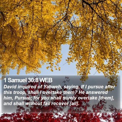 1 Samuel 30:8 WEB Bible Verse Image