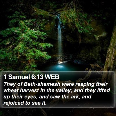 1 Samuel 6:13 WEB Bible Verse Image