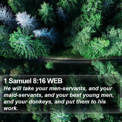 1 Samuel 8:16 WEB Bible Verse Image