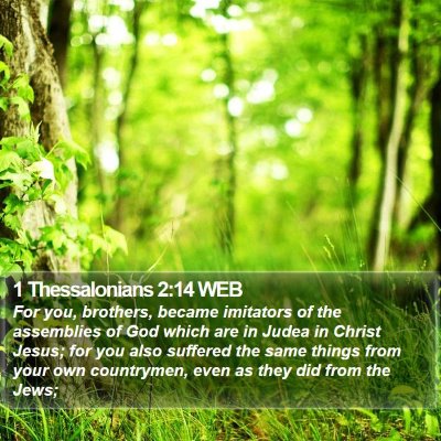 1 Thessalonians 2:14 WEB Bible Verse Image