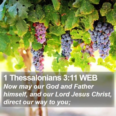 1 Thessalonians 3:11 WEB Bible Verse Image