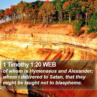 1 Timothy 1:20 WEB Bible Verse Image