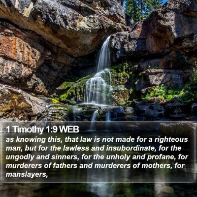 1 Timothy 1:9 WEB Bible Verse Image