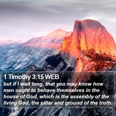 1 Timothy 3:15 WEB Bible Verse Image