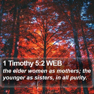 1 Timothy 5:2 WEB Bible Verse Image